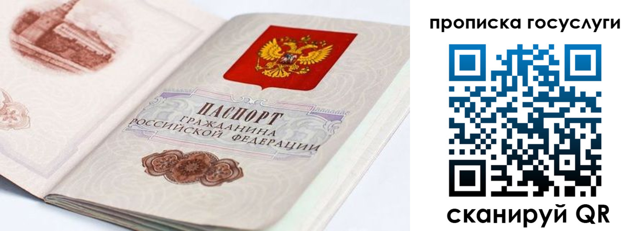 прописка гарантия в Заволжске